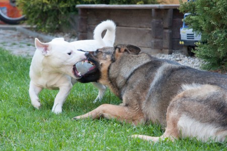 Ale máme se s Ritou rádi :)